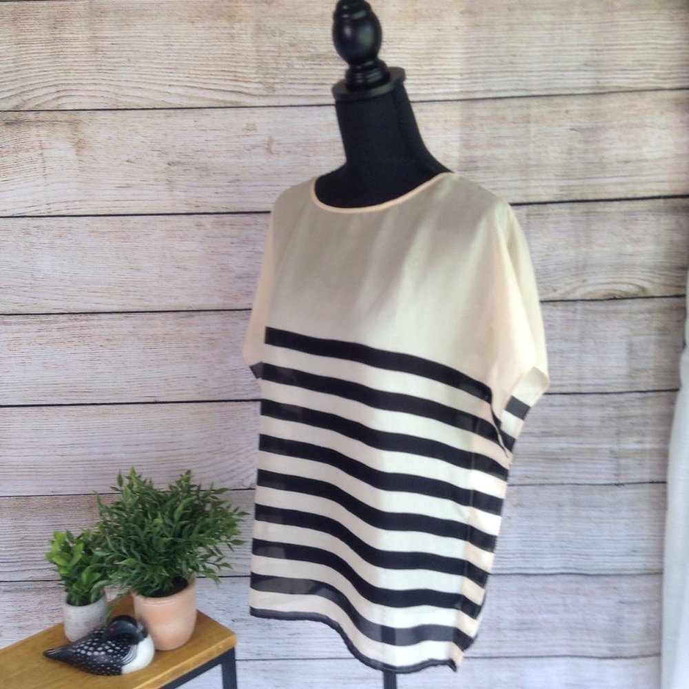The Limited Slightly Sheer Top